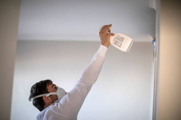 Best HVAC Mold Remediation in Ben Lomond, CA