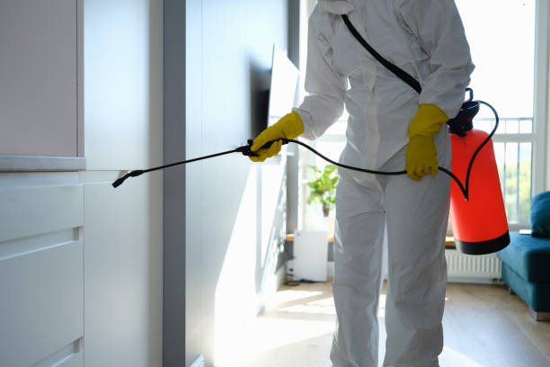 Best Health and Safety Mold Remediation in Ben Lomond, CA